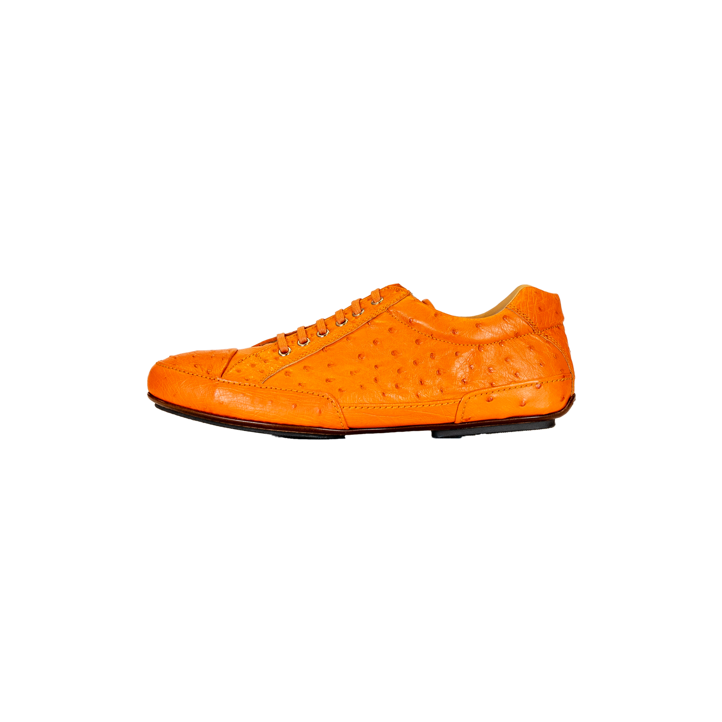 Runic Ostrich Runners